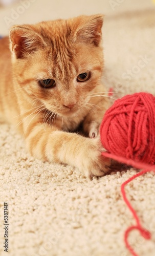 Little cat playing with wool on the carpet.