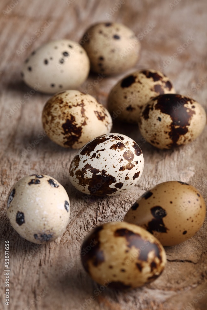 Close-up of quail eggs on wooden background. Close-up of quail eggs on wooden background.