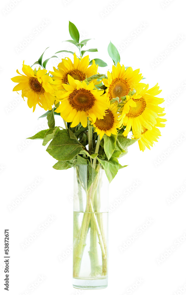 Obraz premium Sunflowers bouquet in a vase