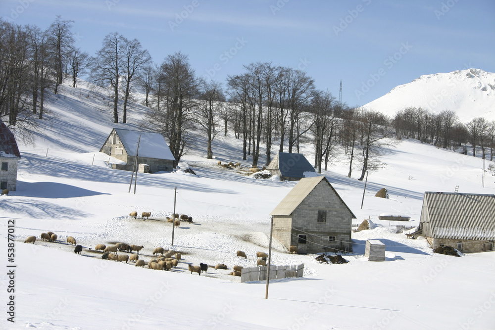 Mountain village covered with snow