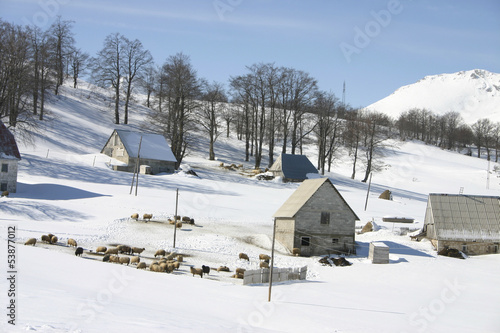 Mountain village covered with snow © DDsign