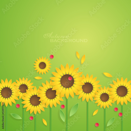 Fototapeta Naklejka Na Ścianę i Meble -  Background with paper sunflowers. Vector illustration