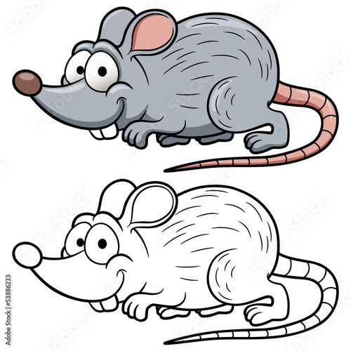 vector illustration of cartoon rat