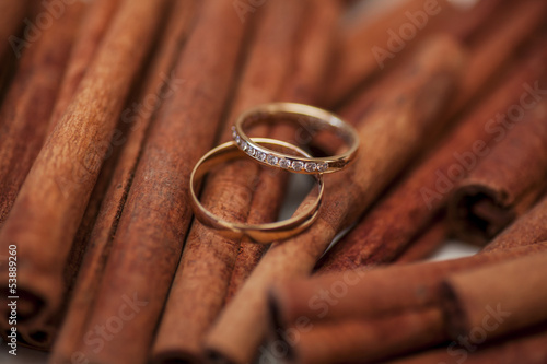 two golden wedding rings on canella photo