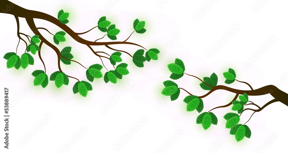 branch with fresh green leaves branch with fresh green leaves