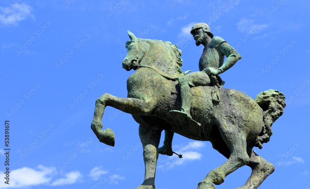 Obraz premium cavalier