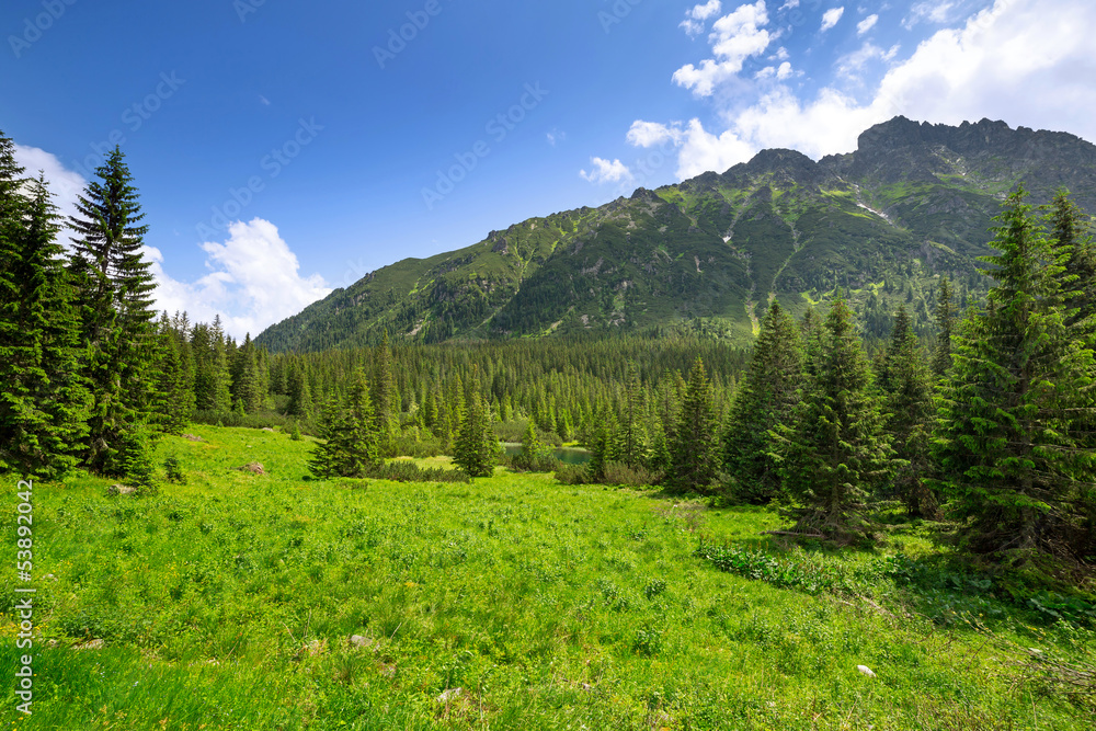Beautiful scenery of Tatra mountains in Poland