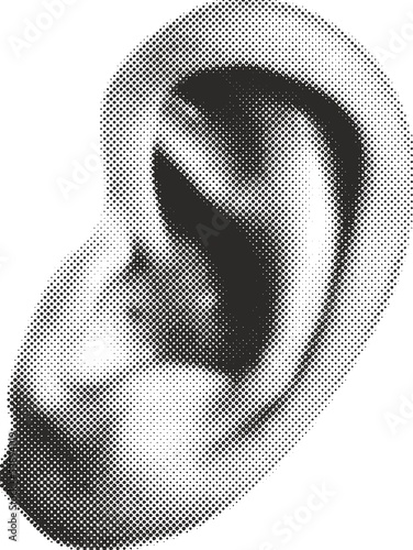 Ohr 040713