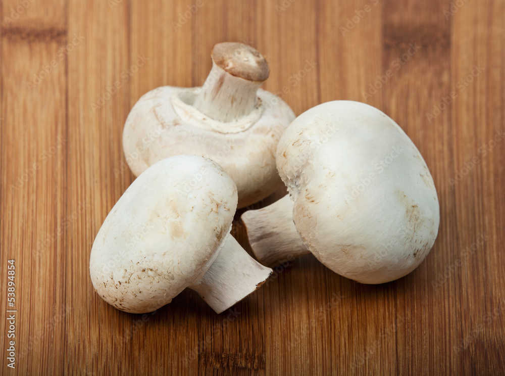 Champignon mushroom Champignon mushroom