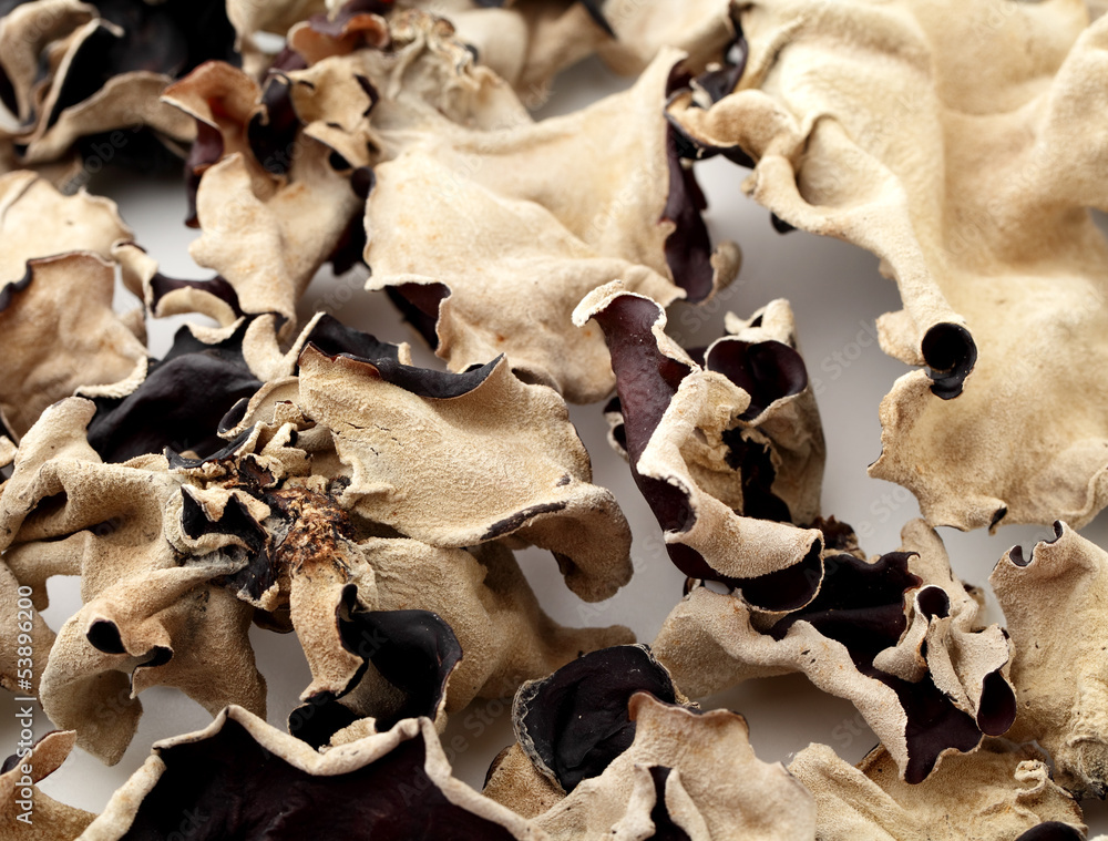 Black fungus Black fungus