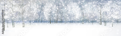 Vector of winter landscape, snowfall in forest..