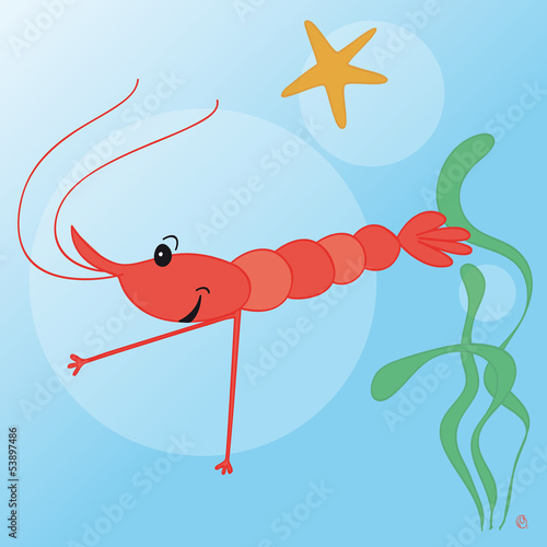 crevette cerise & étoile