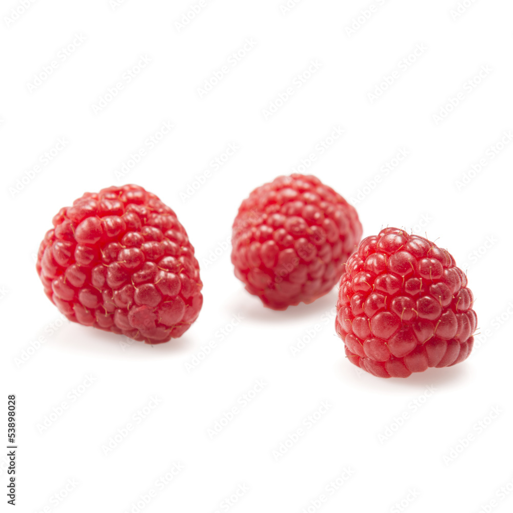 Raspberries composition Raspberries composition