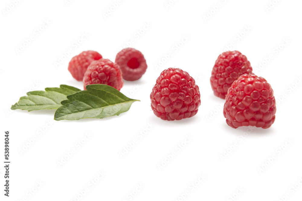 Raspberries composition Raspberries composition