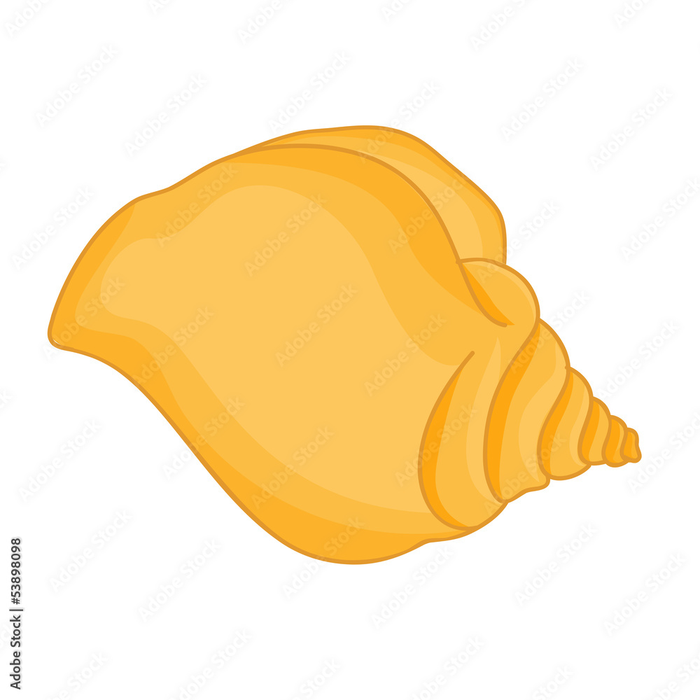 Seashell isolated illustration Seashell isolated illustration