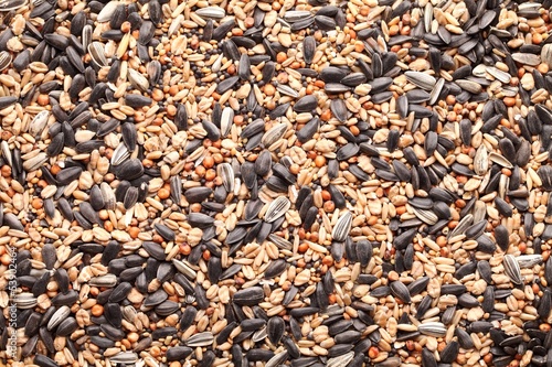 Assortment of seeds. Feed for outdoor birds