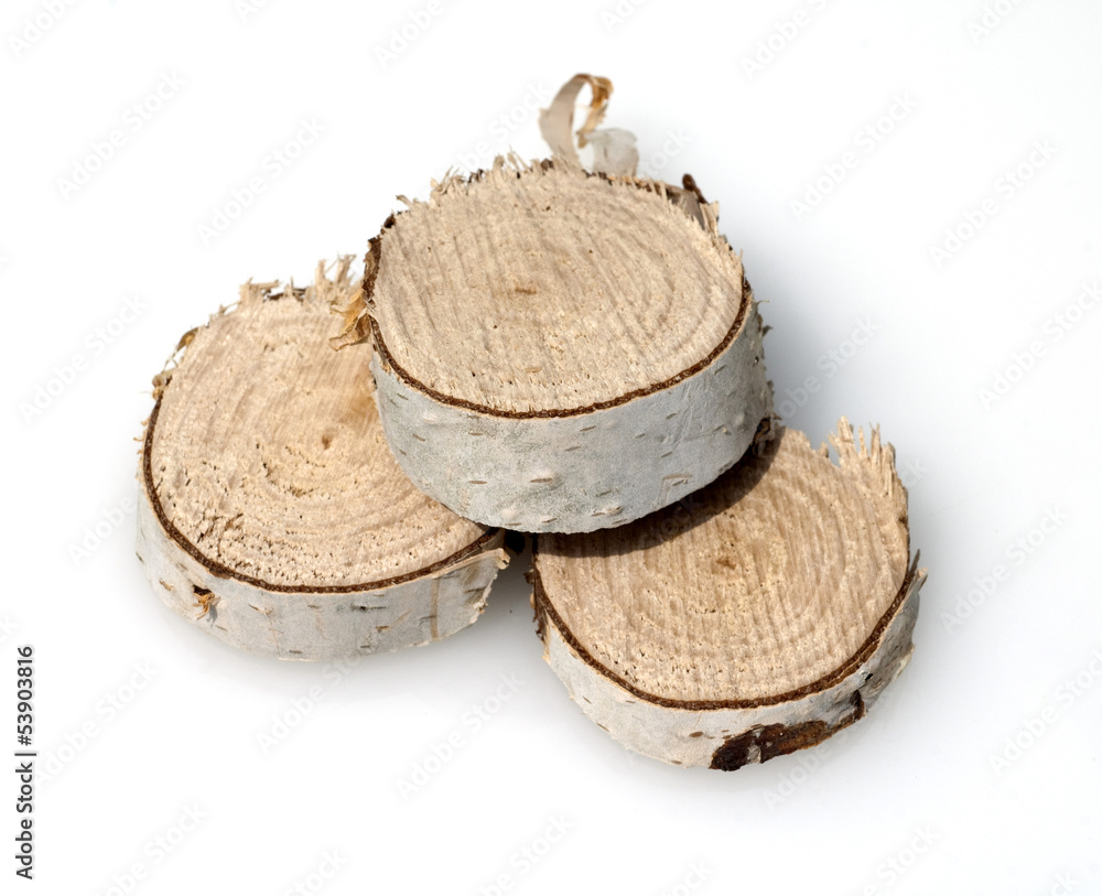Naklejka premium Holzscheiben, Birkenbaum