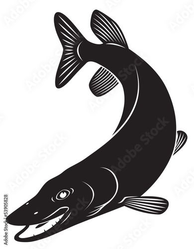 pike
