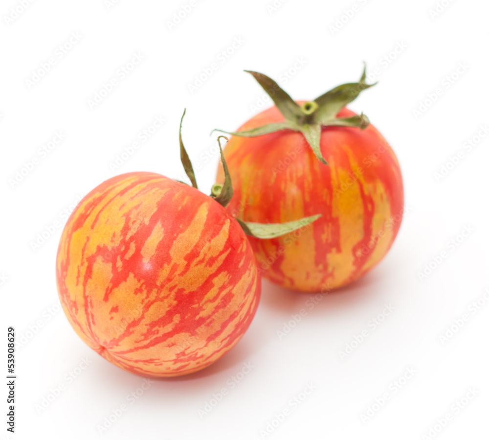 Zebra tomatoes