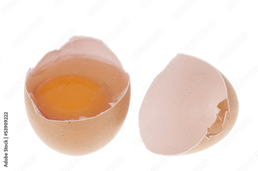 Egg Egg