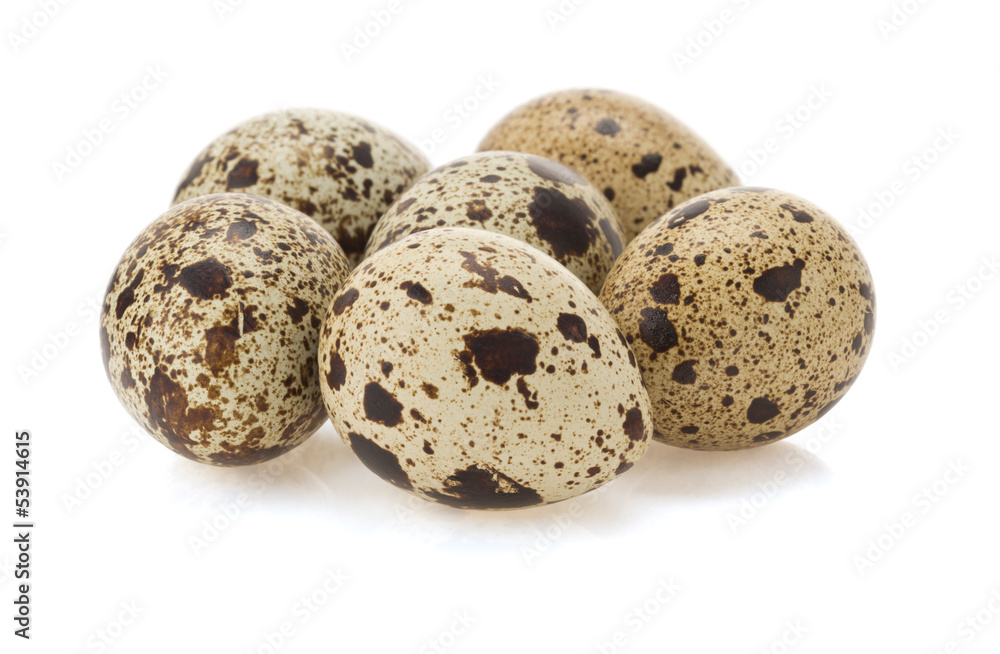 quail egg on white quail egg on white