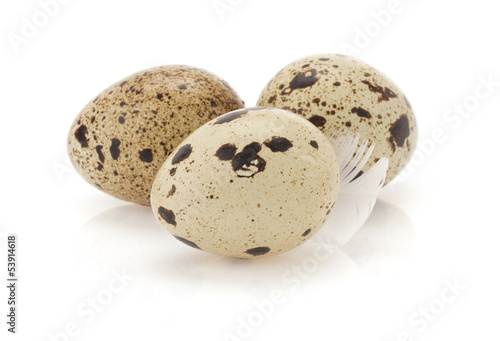 quail egg on white