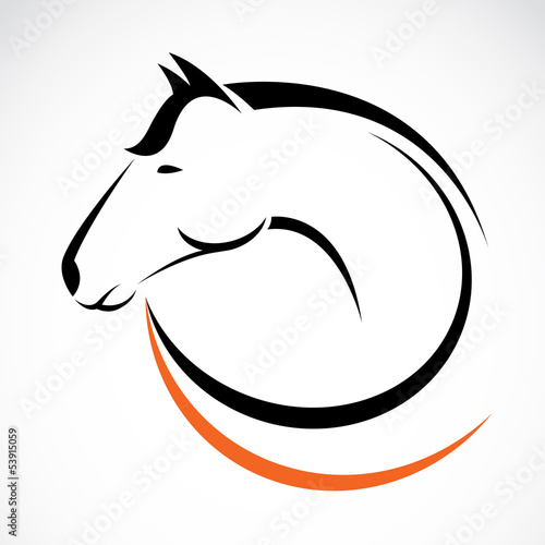 Vector head of horse on a white background