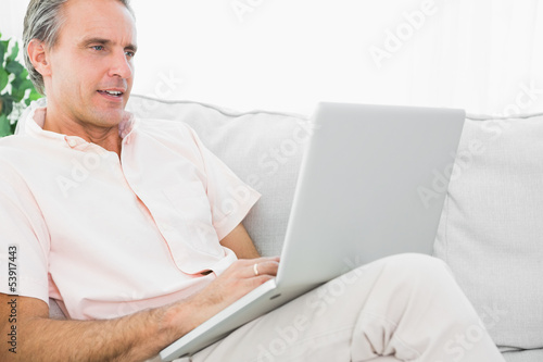 Cheerful man on his couch using laptop © WavebreakmediaMicro