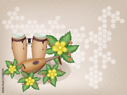 Congas and Lute with Simpor Flowers on Brown Background photo