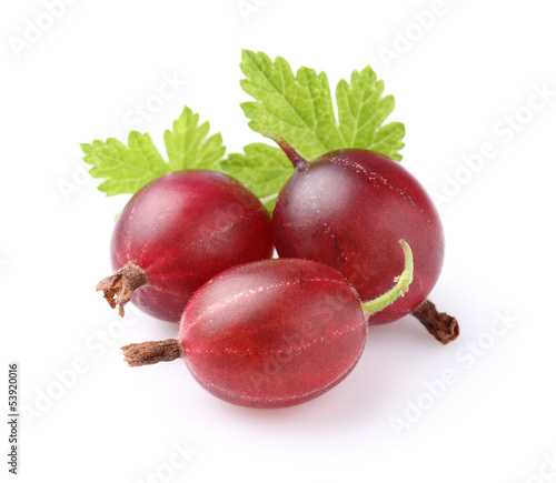 Red gooseberry with leaves