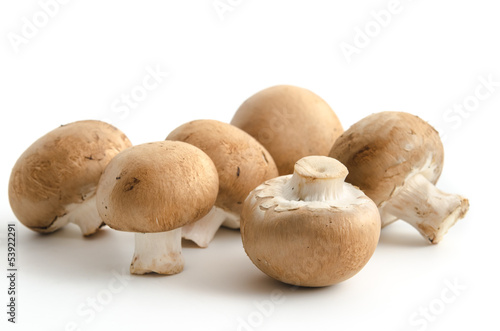 Braune Champignons