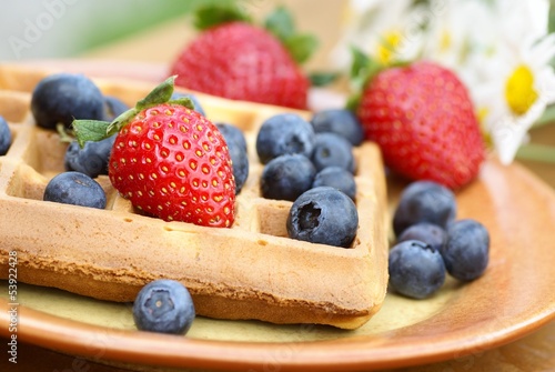 Close-up of plate with waffle and fresh fruits on garden table