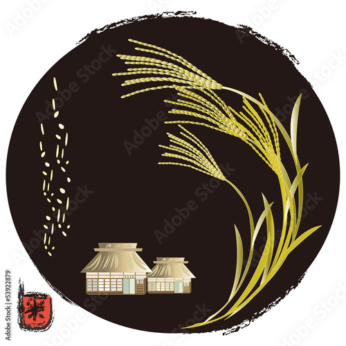 稲穂と農家　farmers house and rice plants