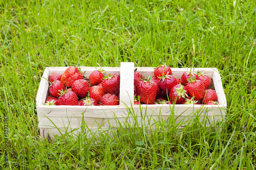 Erdbeerkörbchen