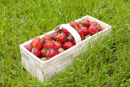 Erdbeerkörbchen