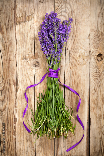 Lavender Flowers