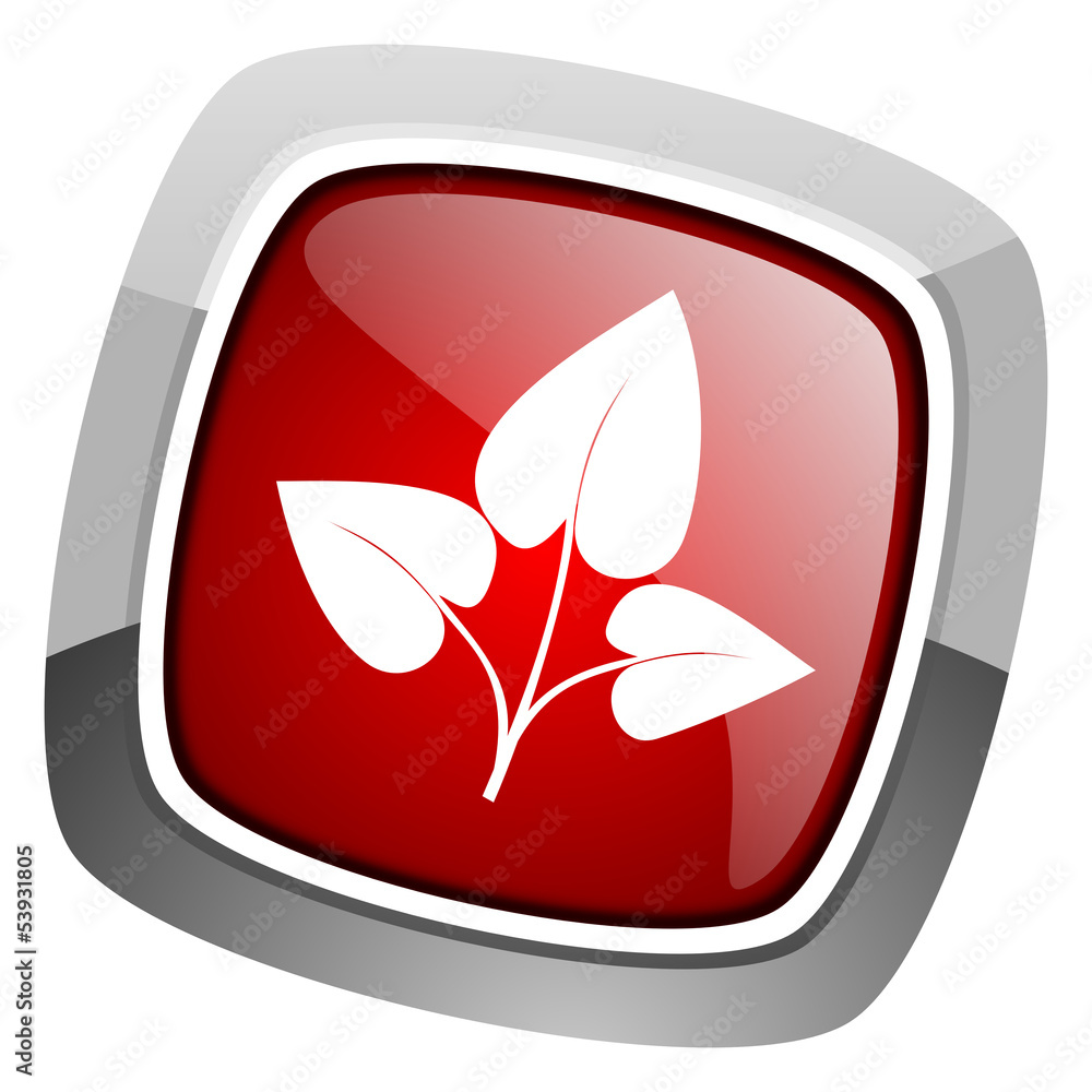 eco icon