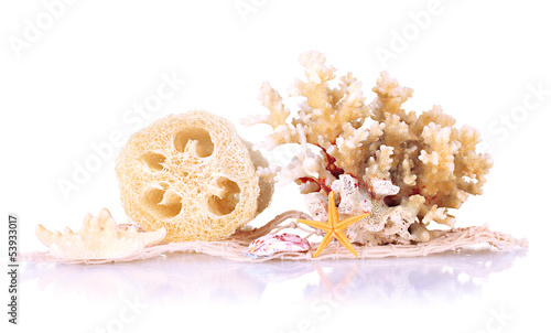 Obraz na płótnie Loofah isolated on white