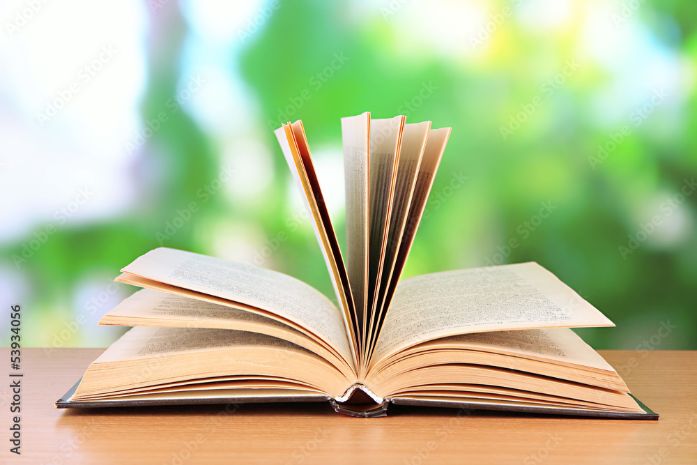 Opened book on bright background Opened book on bright background