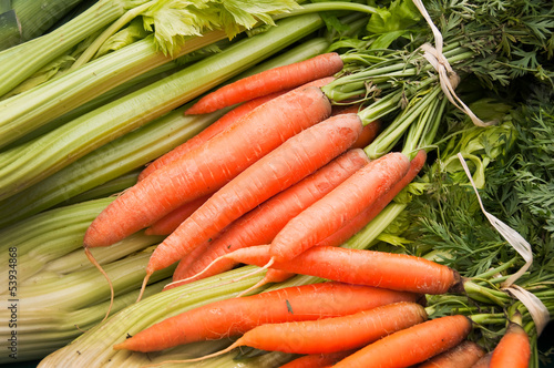 Bottes de carottes et céleris