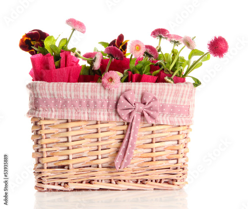 Beautiful spring flowers in basket isolated on white