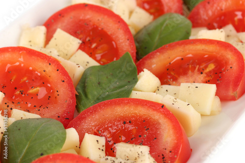 Cheese mozzarella with vegetables in the plate close-up photo