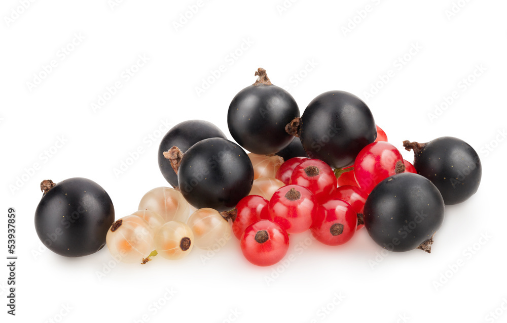 currant currant
