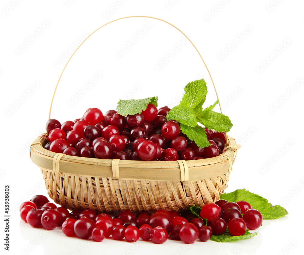 Ripe red cranberries in basket, isolated on white. Ripe red cranberries in basket, isolated on white.