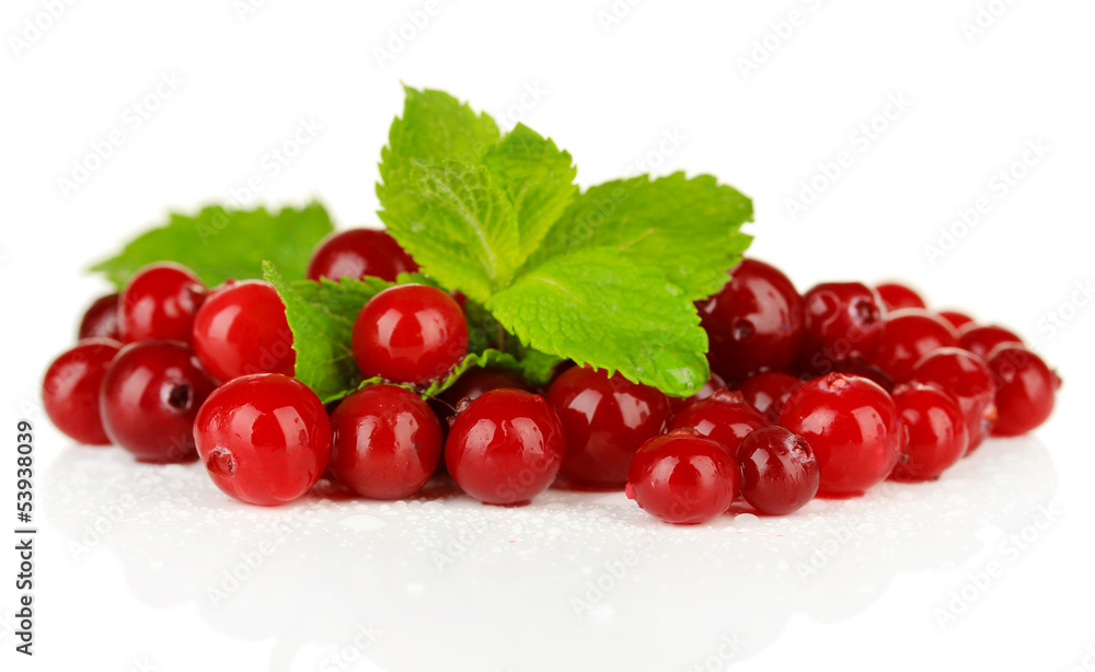 Ripe red cranberries, isolated on white. Ripe red cranberries, isolated on white.
