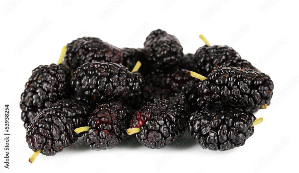 Ripe mulberries isolated on white Ripe mulberries isolated on white