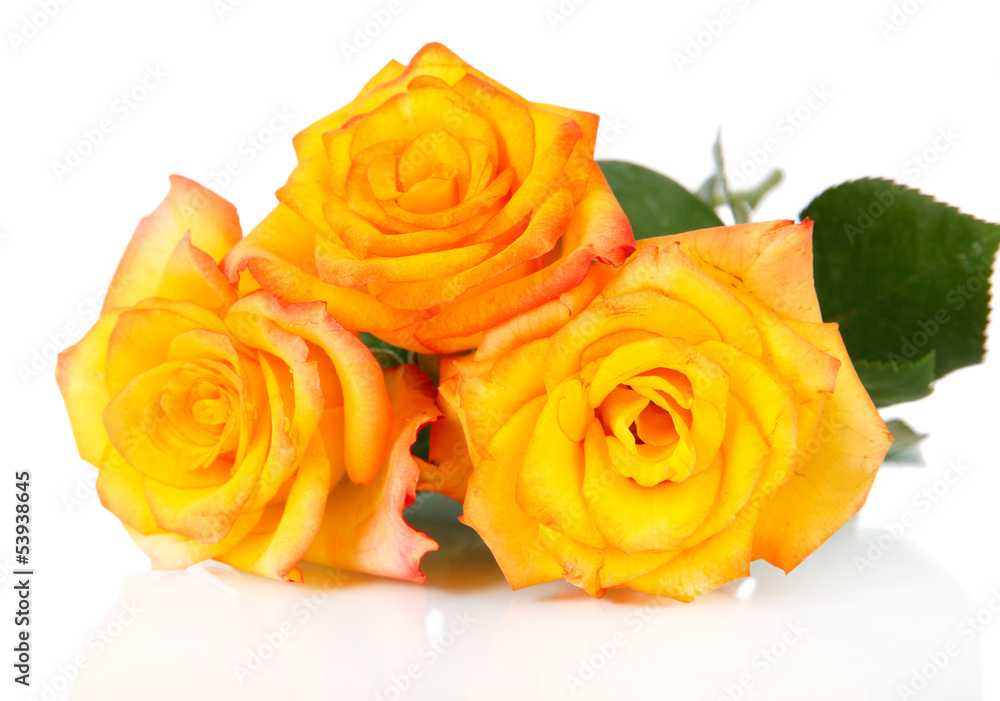 Beautiful bouquet of roses isolated on white Beautiful bouquet of roses isolated on white