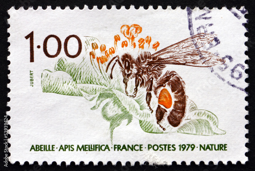 Postage stamp France 1979 Honey Bee, Apis Mellifica photo