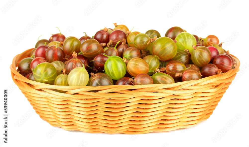 Fresh gooseberries in wicker basket isolated on white Fresh gooseberries in wicker basket isolated on white