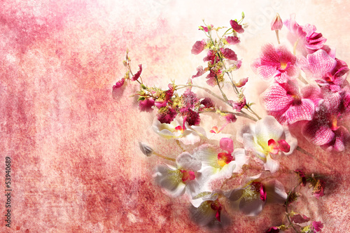Branch of white and pink orchids in grunge style